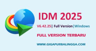 IDM Full Version